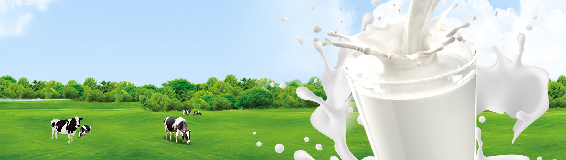 product-banner